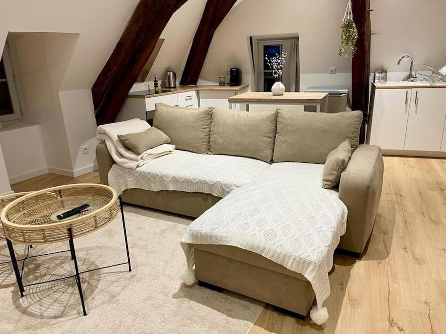 Appartement Cosy Centre Ville Saint-Amand-Mont-Rond エクステリア 写真